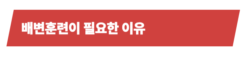 반려견 배변훈련의 모든것, 필요성과 중요성 그리고 방법에 대하여_상세이미지_2